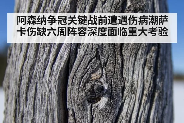 阿森纳争冠关键战前遭遇伤病潮萨卡伤缺六周阵容深度面临重大考验